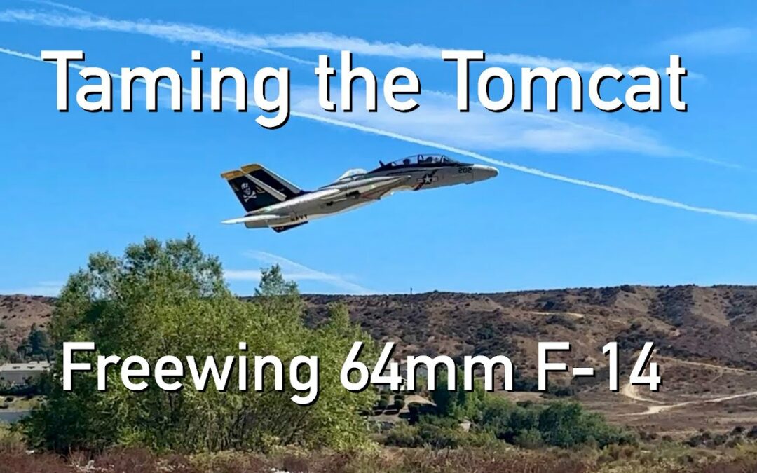 Taming the Tomcat – F-14