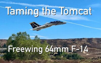 Taming the Tomcat – F-14